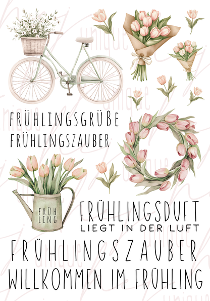 Rub On Aufkleber Tulpenliebe Frühling A5 Warum du unsere Rub-Ons lieben wirst:  ✔ Randloser Premium-Look   ✔ Besondere Haptik   ✔ Präzise Platzierung dank transparenter Trägerfolie  ✔ Wasser- und kratzfest // Hitze- und UV-beständig   ✔ Starke Haftung auf Glas, Keramik, Holz, Raysin u.v.m.  ✔ Langlebig und hochwertig verarbeitet  ✔ Auch gewerblich nutzbar – keine zusätzliche Lizenz nötig