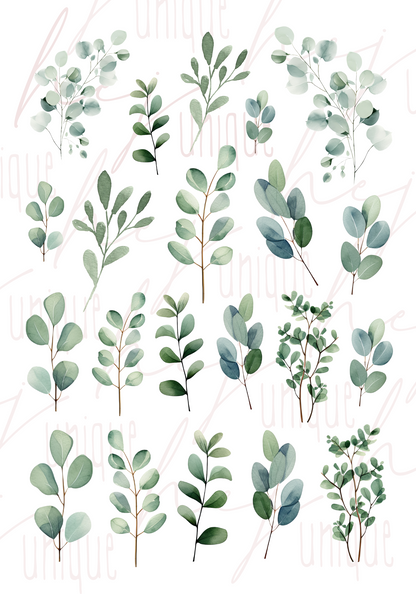 Rub On Aufkleber Eukalyptus A5 Warum du unsere Rub-Ons lieben wirst:  ✔ Randloser Premium-Look   ✔ Besondere Haptik   ✔ Präzise Platzierung dank transparenter Trägerfolie  ✔ Wasser- und kratzfest // Hitze- und UV-beständig   ✔ Starke Haftung auf Glas, Keramik, Holz, Raysin u.v.m.  ✔ Langlebig und hochwertig verarbeitet  ✔ Auch gewerblich nutzbar – keine zusätzliche Lizenz nötig